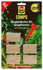 COMPO Grünpflanzen- und Palmen-Düngestäbchen mit Guano 30 Stück