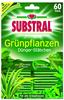 Substral Dünger Dünger-Stäbchen für Grünpflanzen, Spezialdünger, extra...