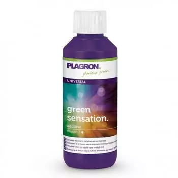 Plagron Green Sensation Blütenaktivator (100 ml)