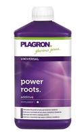 Bertels B.V A30158, Bertels B.V Plagron Power Roots 250 ml (Flasche), Grundpreis: