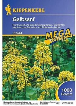 Kiepenkerl Gelbsenf 1 kg