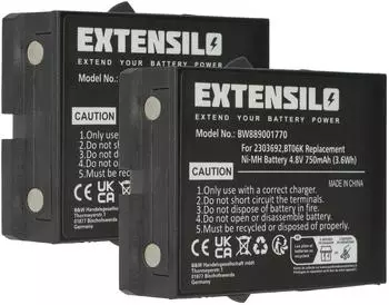 EXTENSILO Ersatzakku f&uuml;r Danfoss BT06K 750mAh 4,8V NiMH, 2er-Pack (183116973-2)