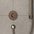Hansgrohe ShowerSelect Comfort S Thermostat Unterputz brushed bronze (15553140)