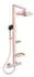 Ideal Standard Alu+ Duschsystem Aufputz rosé (BD583RO)