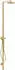 Axor Starck Duschsäule mit Thermostat und Kopfbrause 240 1jet brushed gold optic (12672250)