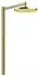 Axor Starck Duschsäule mit Thermostat und Kopfbrause 240 1jet polished gold optic (12672990)