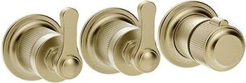 Gessi Venti20 Brause-Thermostat 2-Wege messing gebürstet (65334727)