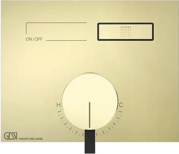 Gessi Hi-Fi Unterputz-Einhebelmischer f&uuml;r 1 Verbraucher messing (63061710)