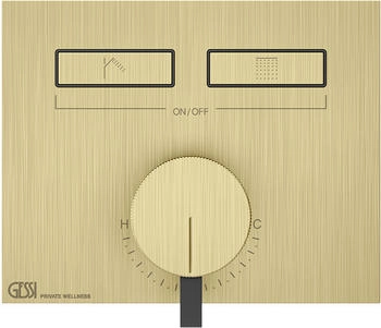 Gessi Hi-Fi Unterputz-Einhebelmischer f&uuml;r 2 Verbraucher messing geb&uuml;rstet (63079727)