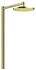 Axor Nature Duschsäule polished gold optic (12671990)