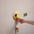 Hansgrohe Ecostat Comfort S Thermostat polished gold optic (33715990)