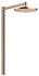 rotgold