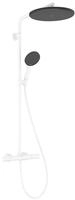 hansgrohe Raindance Alive S Puro Duschsystem 24592700 1 Strahlart mit Ecostat