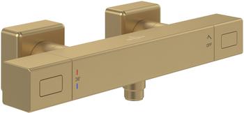 Villeroy & Boch Universal Thermostat f&uuml;r Dusche (TVS00001800076)