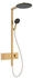 Hansgrohe Raindance Alive S 300 1jet EcoSmart mit ShowerSelect Comfort (24583)