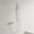 Steinberg Serie 100 Brausearmatur Aufputz brushed nickel (100 1220 BN)