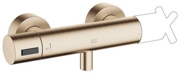 Dornbracht Madison Brause-Thermostet f&uuml;r Wandmontage champagne geb&uuml;rstet (34443979-46)