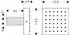 Hansgrohe 28491820