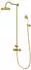 Steinberg Serie 350 Duschsystem Komplettset mit Thermostat, Gold gebürstet (3502721BG)