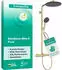 Hansgrohe Raindance Alive S Puro Duschsystem 300 1 Strahlart mit Ecostat+ Element wassersparend+ polished gold optic (24594990)