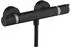 Hansgrohe Ecostat Comfort (13116)