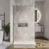 Bernstein Walk-In Duschabtrennung EX101 Klarglas 8mm 120cm Ausziehbare Stange (EX101)