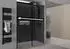 Bernstein DX906 Flex Nischendusche Schiebetür Soft-Close 8mm ESG Grauglas Schwarz 120x195cm (DX906 Flex)