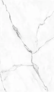 Sch&ouml;ner Wohnen Duschr&uuml;ckwand Softtouch &bdquo;Schneegest&ouml;ber" 100x255cm