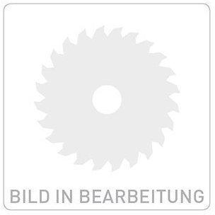 HansGrohe Dach komplett Pharo Duschtempel 115 weiss