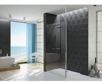 Hoesch Duschabtrennung Walk-In für Ecke Muna 110x210cm (4761.101401)