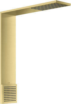 Hansgrohe SowerComposition Brausenmodul 110/220 1jet mit Schulterbrause brushed brass (12593950)