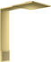 brushed brass (12594950)