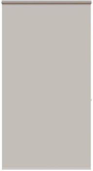 vidaXL Duschrollo mit Kassette 120x240 cm Stoffbreite 116 cm, Hellgrau
