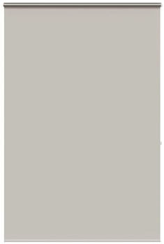 vidaXL Duschrollo mit Kassette 160x240 cm Stoffbreite 156 cm, Hellgrau