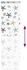 vidaXL Duschrollo mit Kassette 80x240 cm Stoffbreite 76 cm, Schalentiere