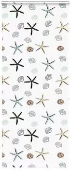 vidaXL Duschrollo mit Kassette 100x240 cm Stoffbreite 96 cm, Schalentiere