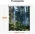 LuxusKollektion Duschvorhang Wald/Dschungel wasserabweisend, 120x200cm