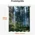 LuxusKollektion Sunshine Forest Duschvorhang Dschungel-Motiv, Polyester, 150x200cm