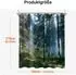 LuxusKollektion Duschvorhang Wald Dschungel, Polyester, 180x170cm