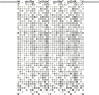 Eisl Duschvorhang "Mosaik GRAU" Breite 180 cm waschbarer Antischimmel Vorhang (H&ouml;he