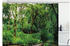 Abakuhaus Duschvorhang Moderner Digitaldruck mit 12 Haken auf Stoff 175 x 180 Dschungel Wilder Exotische Wald Pier