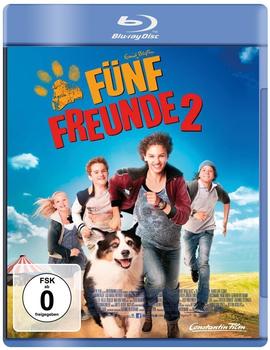 Fünf Freunde 2