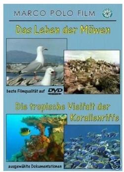 Das Leben der Möwen/tropische Vielfalt der Korallenriffe