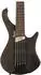 Ibanez EHB605 E-Bass 5-Saiter, Walnut Flat (EHB605-WNF)