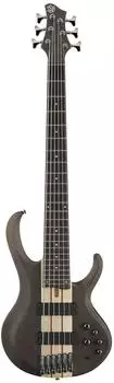 Ibanez BTB606 E-Bass 6-Saiter, transparent grau (BTB606-TGF)