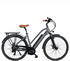 AsVIVA B15_FBA Pedelec 250W