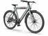 SachsenRAD xBird Urban City-Bike C6