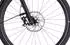 Cube Nuride Hybrid SLT Allroad Wave 750 (2024)