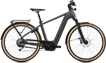 Flyer G1 Gotour 7.12 XC ABS Gents 750 (2024) kalter Anthrazitglanz