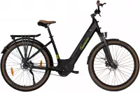 SachsenRad "C5R" 1 Gang Shimano keine Schaltwerk ohne Schaltung Mittelmotor 250 W TFT